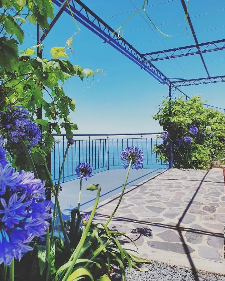Apartament Ocean View Madeira 1 - Ponta Do Sol Canhas